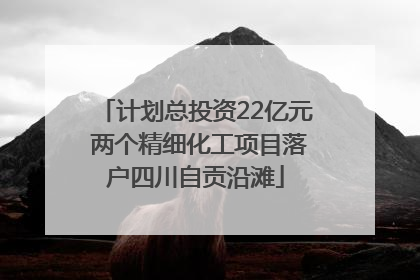 计划总投资22亿元 两个精细化工项目落户四川自贡沿滩