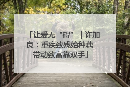 让爱无“碍”｜许加良：重疾致残始种藕 带动致富靠双手