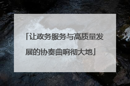 让政务服务与高质量发展的协奏曲响彻大地