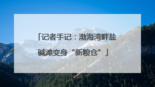 记者手记：渤海湾畔盐碱滩变身“新粮仓”