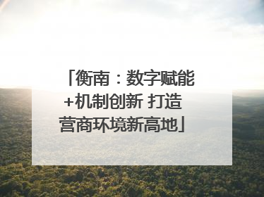 衡南：数字赋能+机制创新 打造营商环境新高地