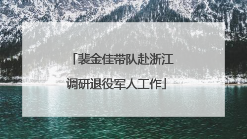 裴金佳带队赴浙江调研退役军人工作