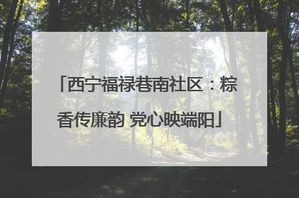 西宁福禄巷南社区：粽香传廉韵 党心映端阳