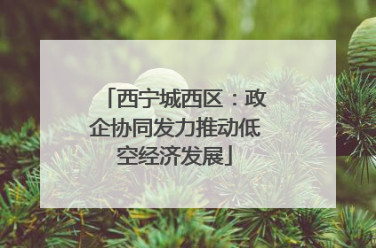 西宁城西区：政企协同发力推动低空经济发展
