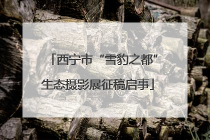 西宁市“雪豹之都”生态摄影展征稿启事
