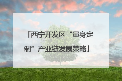 西宁开发区“量身定制”产业链发展策略