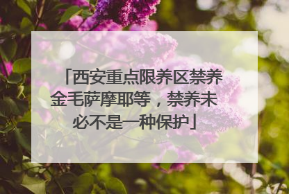 西安重点限养区禁养金毛萨摩耶等，禁养未必不是一种保护