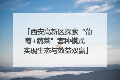 西安高新区探索“葡萄+蔬菜”套种模式 实现生态与效益双赢