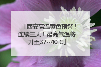 西安高温黄色预警！连续三天！最高气温将升至37~40℃