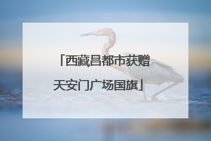 西藏昌都市获赠天安门广场国旗