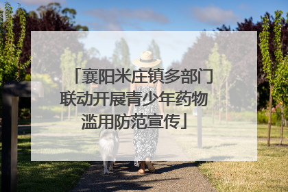 襄阳米庄镇多部门联动开展青少年药物滥用防范宣传