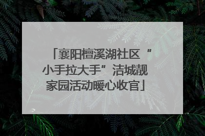 襄阳檀溪湖社区“小手拉大手”洁城靓家园活动暖心收官
