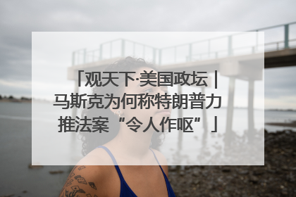 观天下·美国政坛｜马斯克为何称特朗普力推法案“令人作呕”