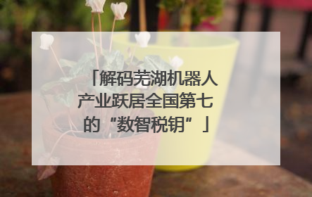 解码芜湖机器人产业跃居全国第七的“数智税钥”