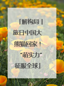 解构局丨旅日中国大熊猫回家！“萌实力”征服全球