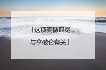 这顶麦穗冠冕，与拿破仑有关