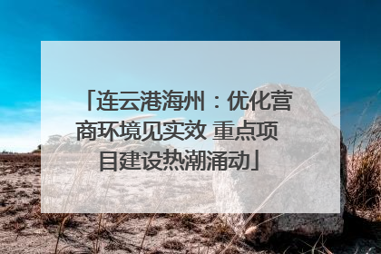 连云港海州：优化营商环境见实效 重点项目建设热潮涌动