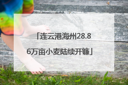连云港海州28.86万亩小麦陆续开镰