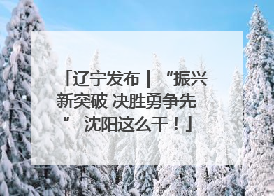 辽宁发布｜“振兴新突破 决胜勇争先” 沈阳这么干！
