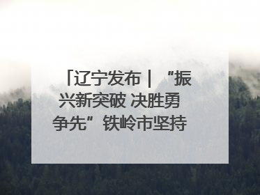 辽宁发布｜“振兴新突破 决胜勇争先”铁岭市坚持“项目为王”推进经济高质量发展