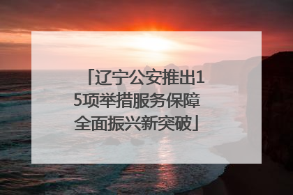 辽宁公安推出15项举措服务保障全面振兴新突破