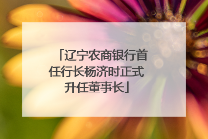 辽宁农商银行首任行长杨济时正式升任董事长