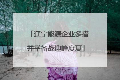辽宁能源企业多措并举备战迎峰度夏