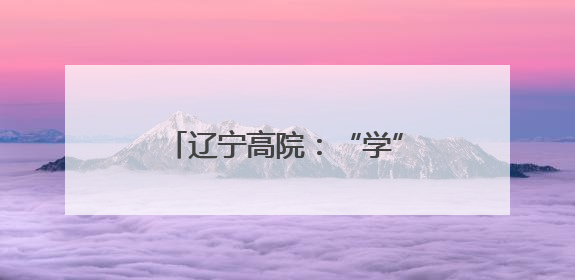 辽宁高院：“学”抓扎实 “查”见真章 “改”求实效