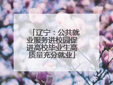 辽宁：公共就业服务进校园促进高校毕业生高质量充分就业
