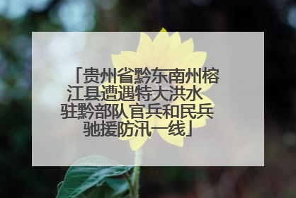贵州省黔东南州榕江县遭遇特大洪水 驻黔部队官兵和民兵驰援防汛一线