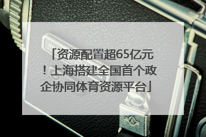 资源配置超65亿元！上海搭建全国首个政企协同体育资源平台