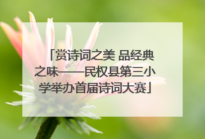 赏诗词之美 品经典之味——民权县第三小学举办首届诗词大赛