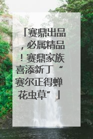 赛鼎出品，必属精品！赛鼎家族喜添新丁“赛尔正得蝉花虫草”
