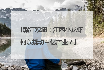 赣江观澜：江西小龙虾何以撬动百亿产业？