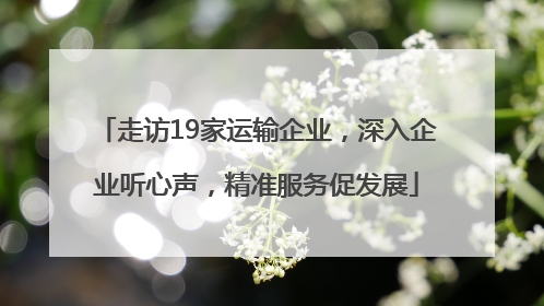 走访19家运输企业，深入企业听心声，精准服务促发展