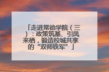 走进常德学院（三）：政策筑基、引凤来栖，锻造校城共享的“双师铁军”