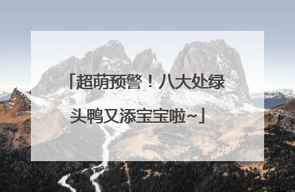 超萌预警！八大处绿头鸭又添宝宝啦~