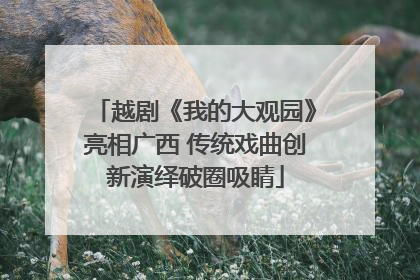 越剧《我的大观园》亮相广西 传统戏曲创新演绎破圈吸睛
