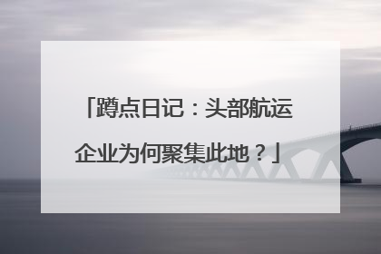 蹲点日记：头部航运企业为何聚集此地？