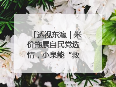透视东瀛｜米价拖累自民党选情，小泉能“救”石破茂吗