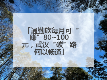 通勤族每月可“赚”80~100元，武汉“碳”路何以畅通