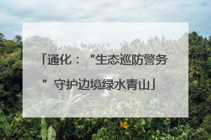 通化：“生态巡防警务”守护边境绿水青山
