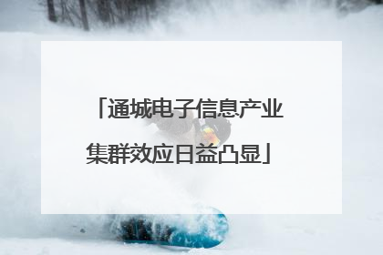 通城电子信息产业集群效应日益凸显