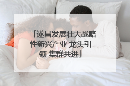 遂昌发展壮大战略性新兴产业 龙头引领 集群共进