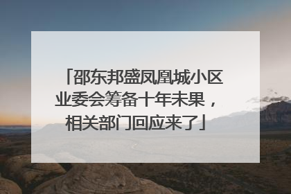 邵东邦盛凤凰城小区业委会筹备十年未果，相关部门回应来了