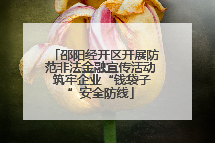 邵阳经开区开展防范非法金融宣传活动 筑牢企业“钱袋子”安全防线