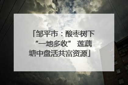 邹平市：酸枣树下“一地多收” 莲藕塘中盘活共富资源