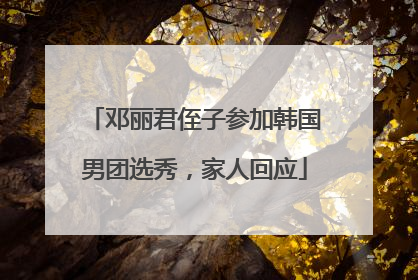 邓丽君侄子参加韩国男团选秀，家人回应