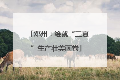 邓州：绘就“三夏”生产壮美画卷