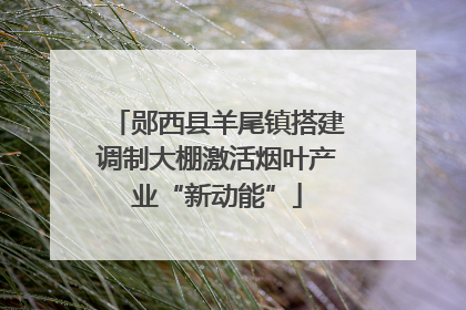 郧西县羊尾镇搭建调制大棚激活烟叶产业“新动能”